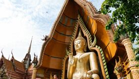 image-44